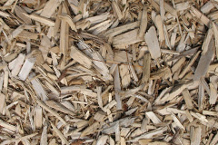 biomass boilers Cowgrove